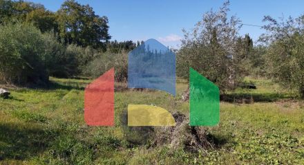 Продаж - Земельна ділянка 6500 m² на о. Корфу