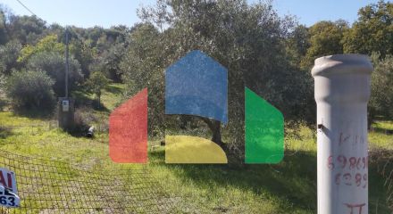 Продаж - Земельна ділянка 6500 m² на о. Корфу