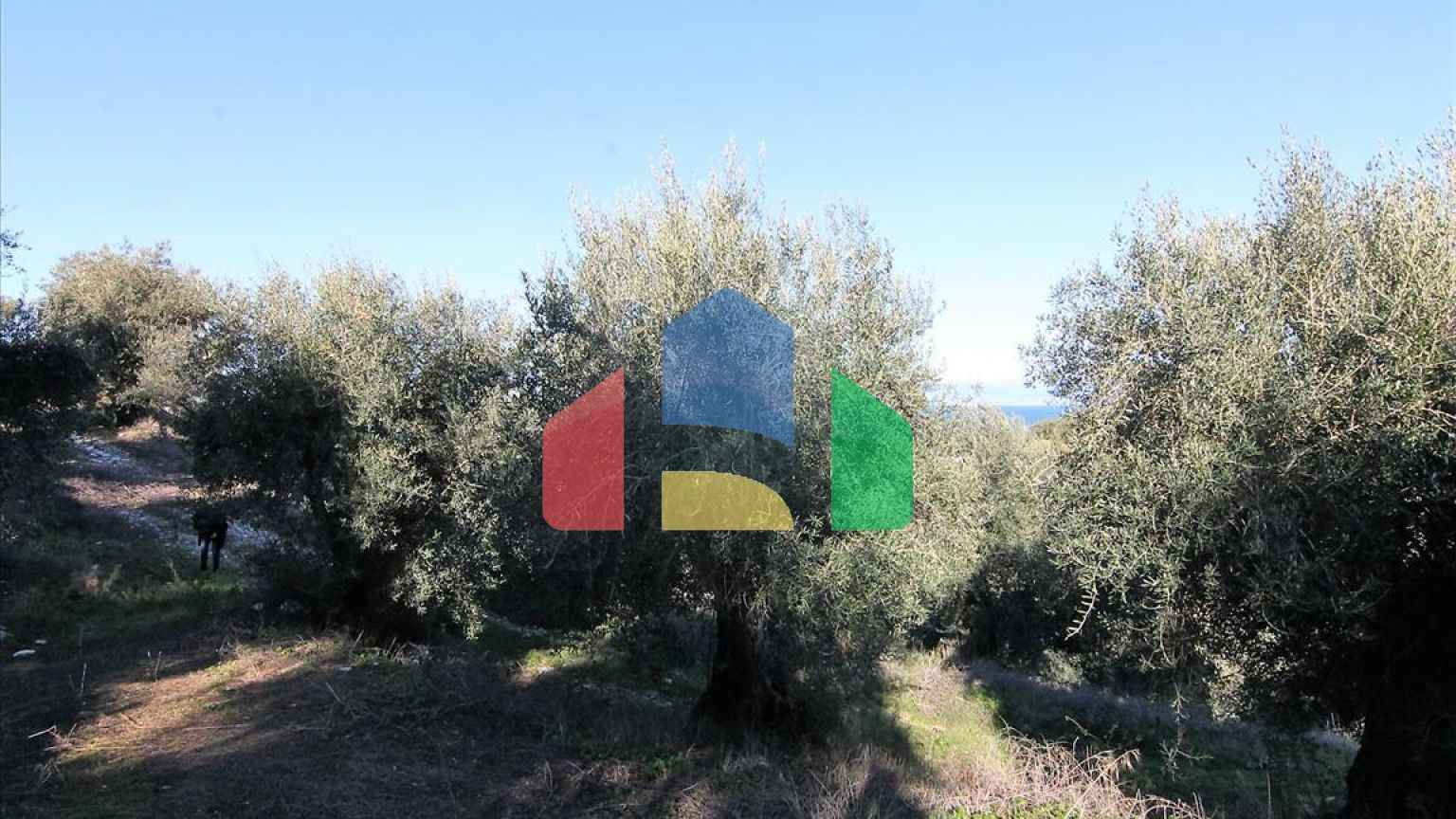 Продаж - Земельна ділянка 41000 m² на о. Корфу