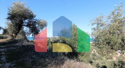 Продаж - Земельна ділянка 41000 m² на о. Корфу