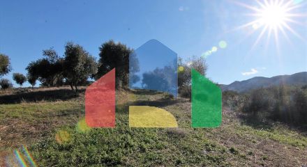 Продаж - Земельна ділянка 41000 m² на о. Корфу