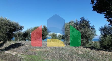 Продаж - Земельна ділянка 41000 m² на о. Корфу