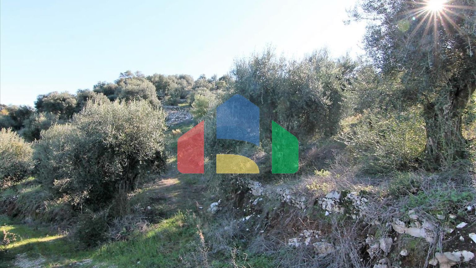 Продаж - Земельна ділянка 41000 m² на о. Корфу