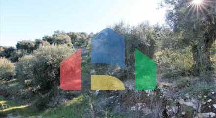 Продаж - Земельна ділянка 41000 m² на о. Корфу