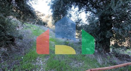 Продаж - Земельна ділянка 41000 m² на о. Корфу