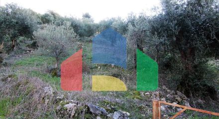 Продаж - Земельна ділянка 41000 m² на о. Корфу