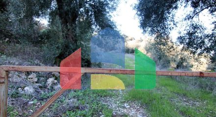 Продаж - Земельна ділянка 41000 m² на о. Корфу