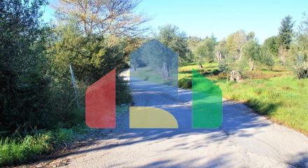 For Sale - Land 17500 m² in Corfu