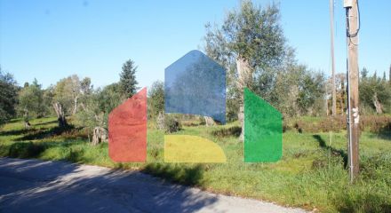 For Sale - Land 17500 m² in Corfu