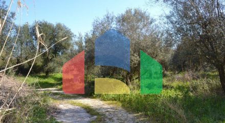 For Sale - Land 24000 m² in Corfu