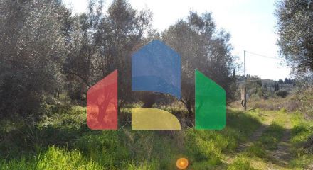 For Sale - Land 24000 m² in Corfu