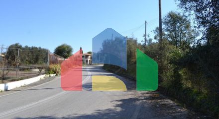 For Sale - Land 24000 m² in Corfu