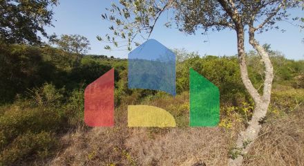 For Sale - Land 4000 m² in Corfu
