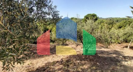 For Sale - Land 4000 m² in Corfu