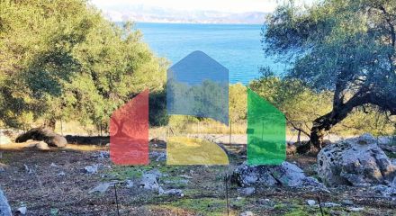 Продажа - Земельный участок 12000 m² на о. Корфу