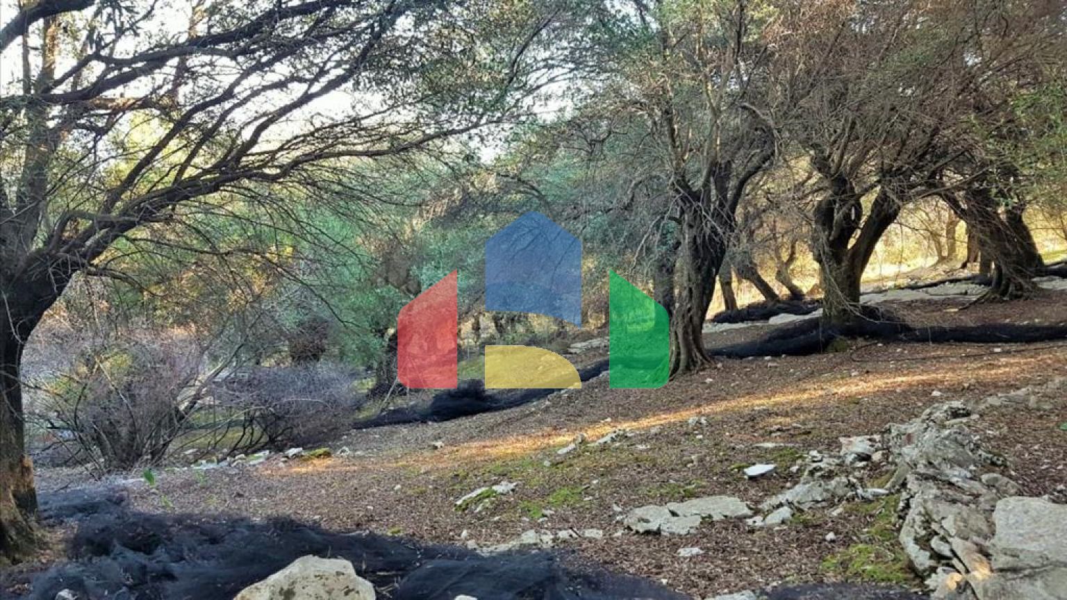 Продажа - Земельный участок 12000 m² на о. Корфу