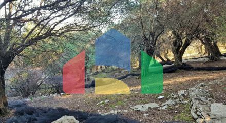 Продажа - Земельный участок 12000 m² на о. Корфу