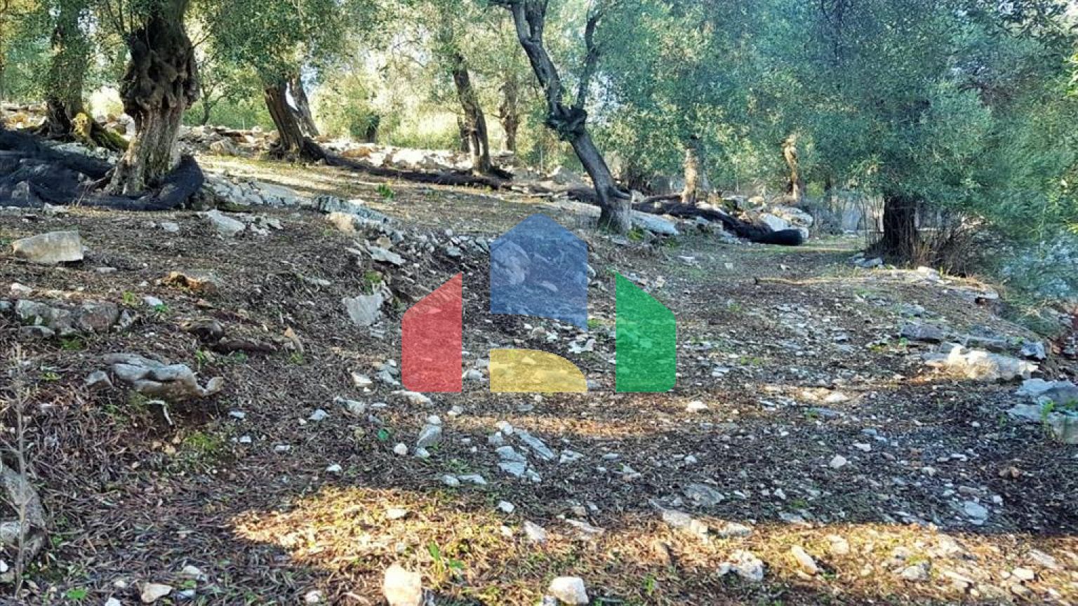 Продажа - Земельный участок 12000 m² на о. Корфу