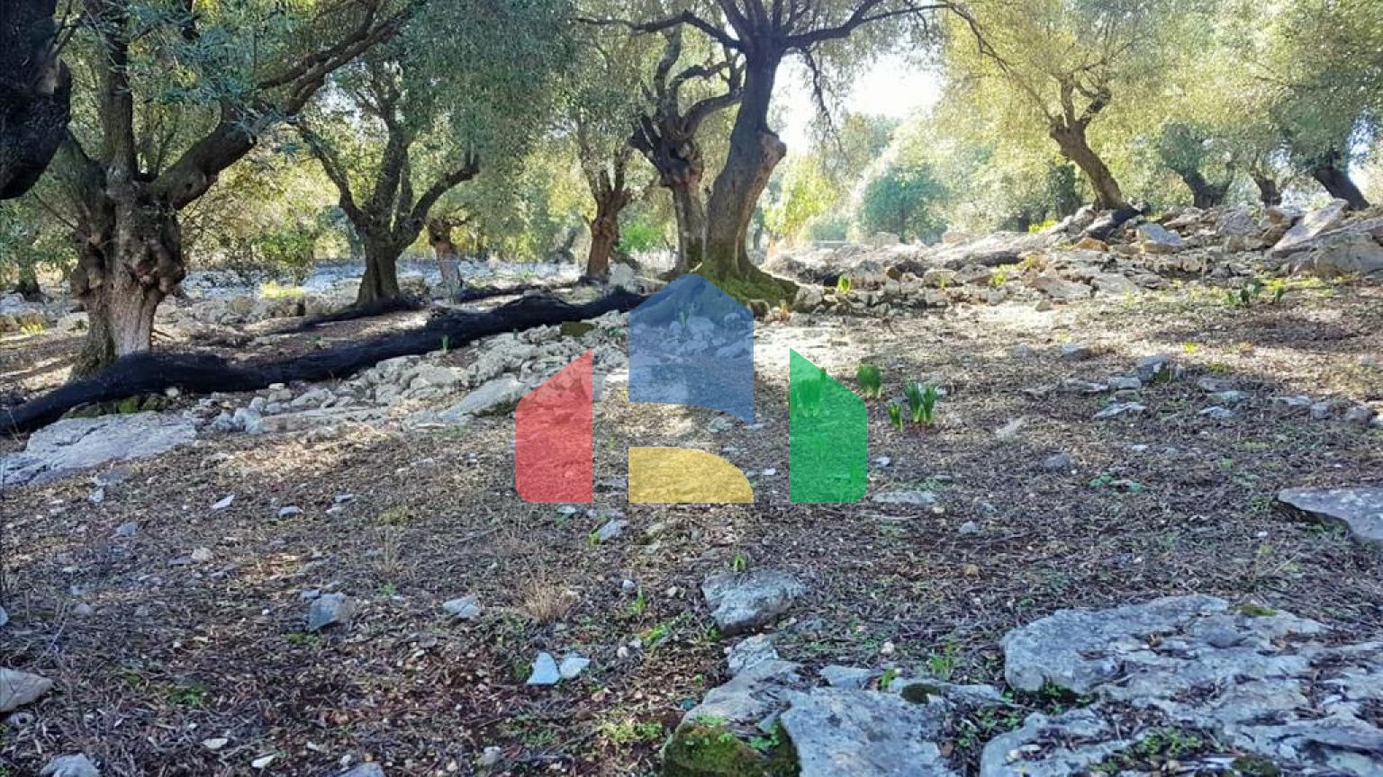 Продажа - Земельный участок 12000 m² на о. Корфу