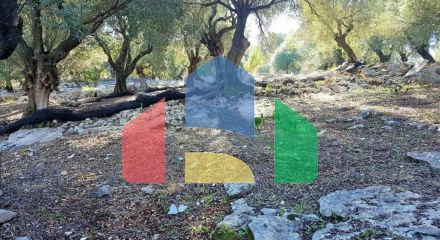 Продажа - Земельный участок 12000 m² на о. Корфу