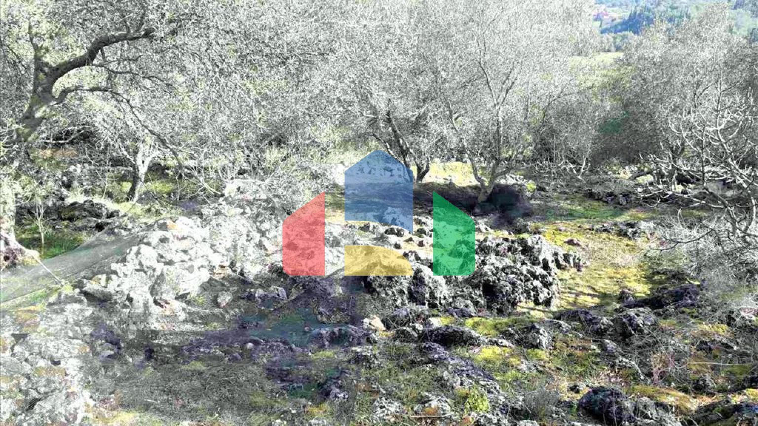 Продажа - Земельный участок 8000 m² на о. Корфу