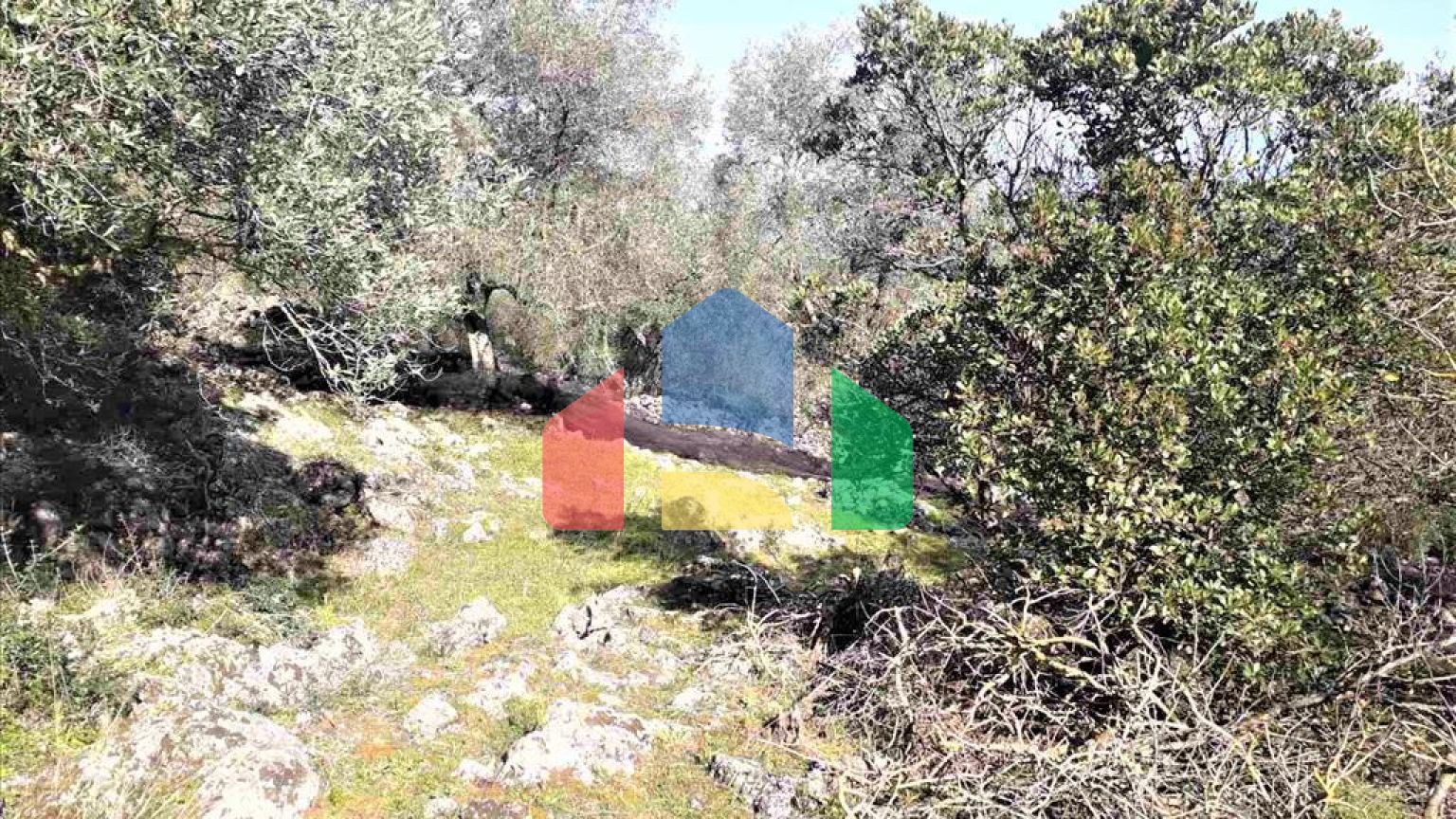 Продажа - Земельный участок 8000 m² на о. Корфу