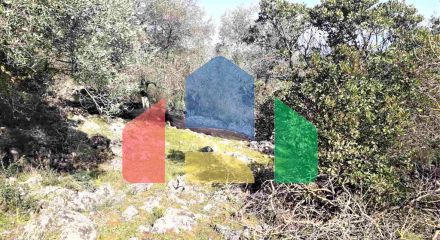 Продажа - Земельный участок 8000 m² на о. Корфу