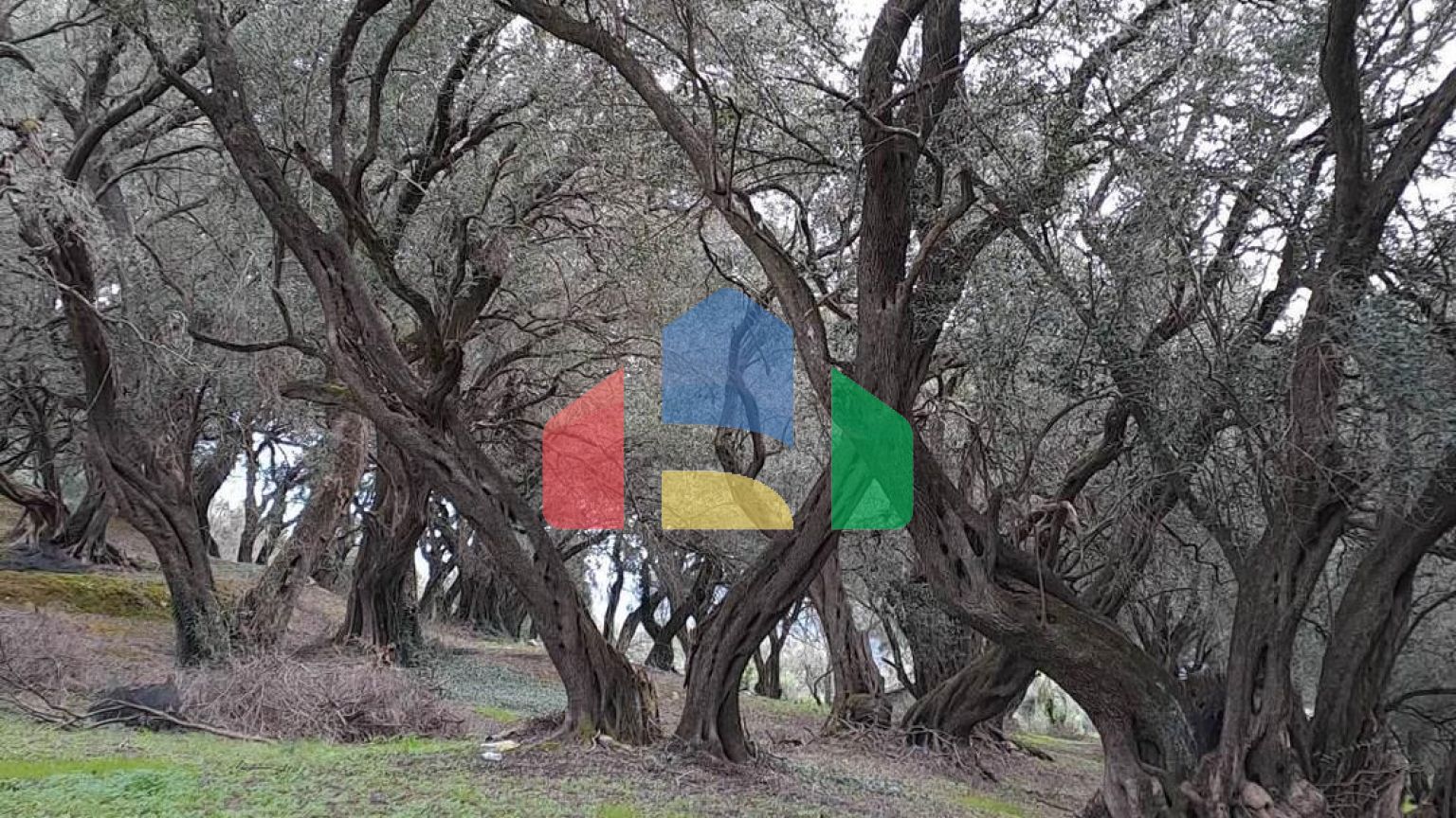 Продажа - Земельный участок 95095 m² на о. Корфу