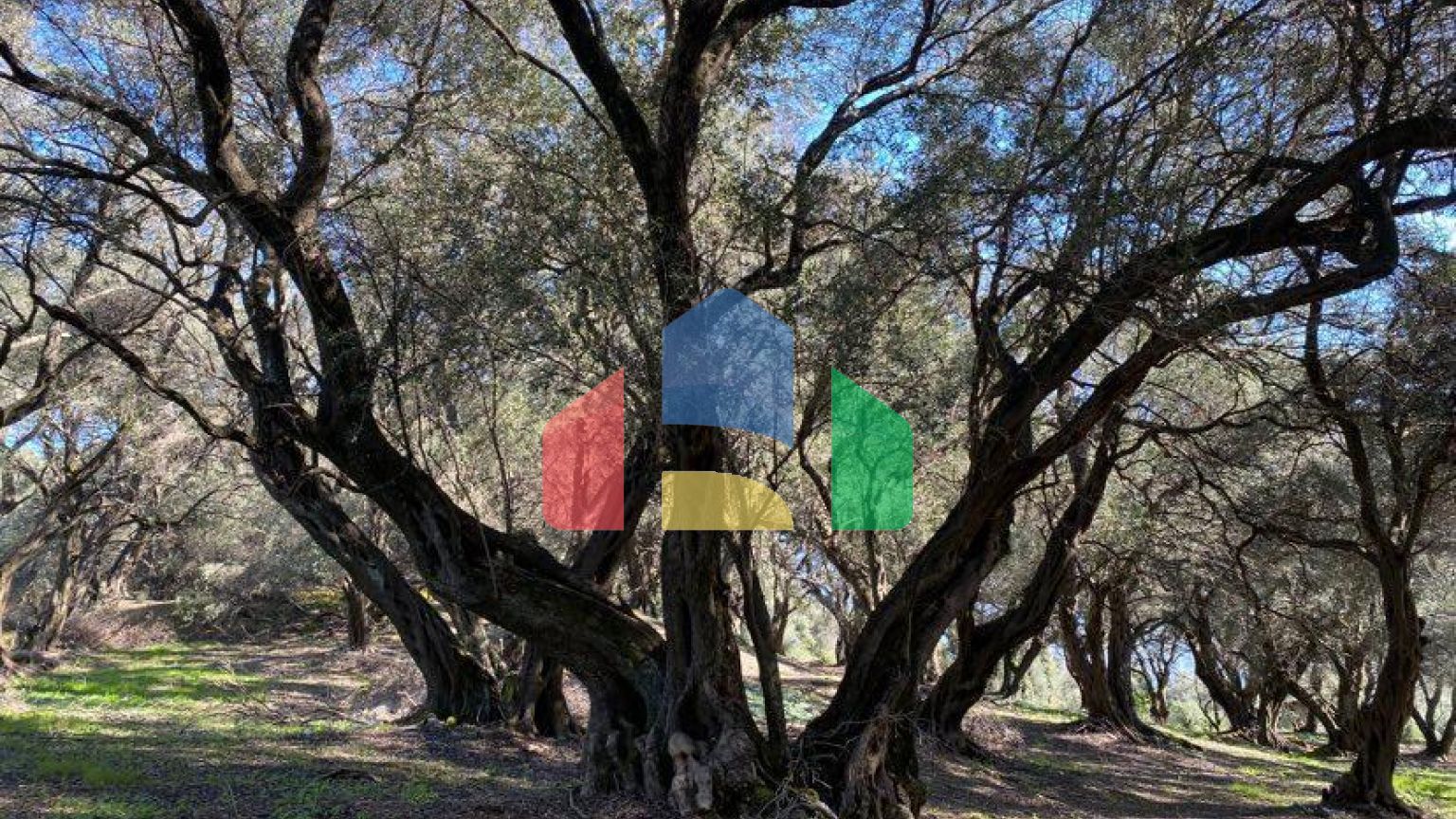 Продажа - Земельный участок 95095 m² на о. Корфу