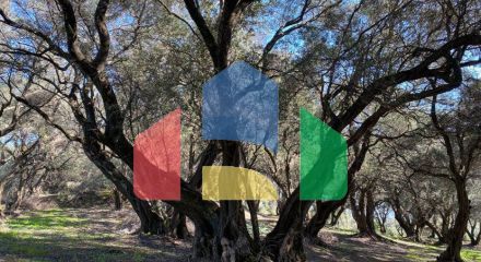 Продажа - Земельный участок 95095 m² на о. Корфу