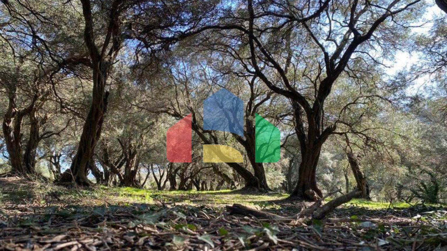 Продажа - Земельный участок 95095 m² на о. Корфу