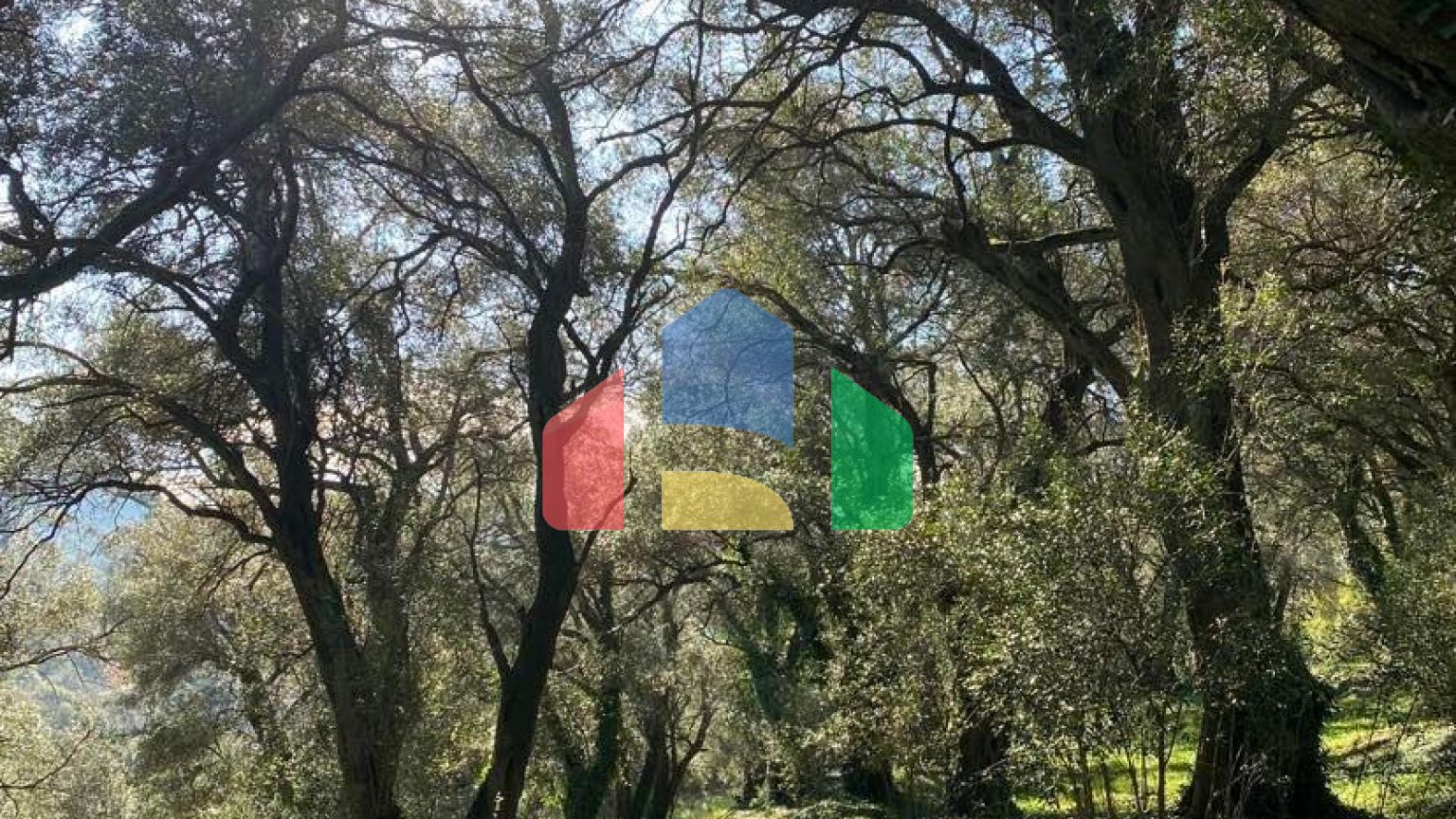 Продажа - Земельный участок 95095 m² на о. Корфу