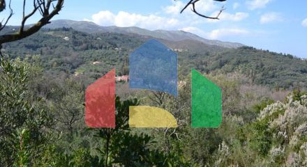 For Sale - Land 2313 m² in Corfu