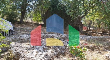 Продажа - Коттедж 105 m² на о. Корфу Продажа - Коттедж 105 m² на о. Корфу