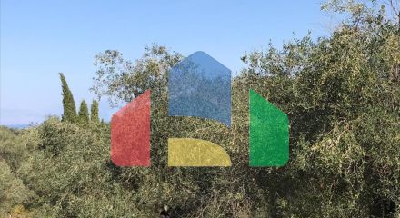 Продажа - Земельный участок 4000 m² на о. Корфу