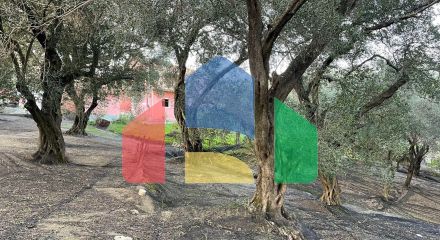 Продажа - Земельный участок 4027 m² на о. Корфу Продажа - Земельный участок 4027 m² на о. Корфу