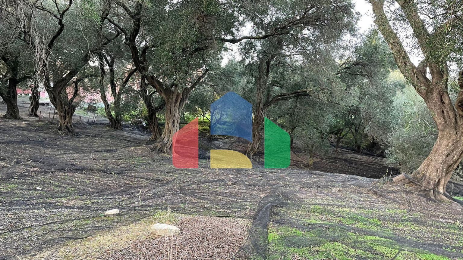 Продажа - Земельный участок 4027 m² на о. Корфу