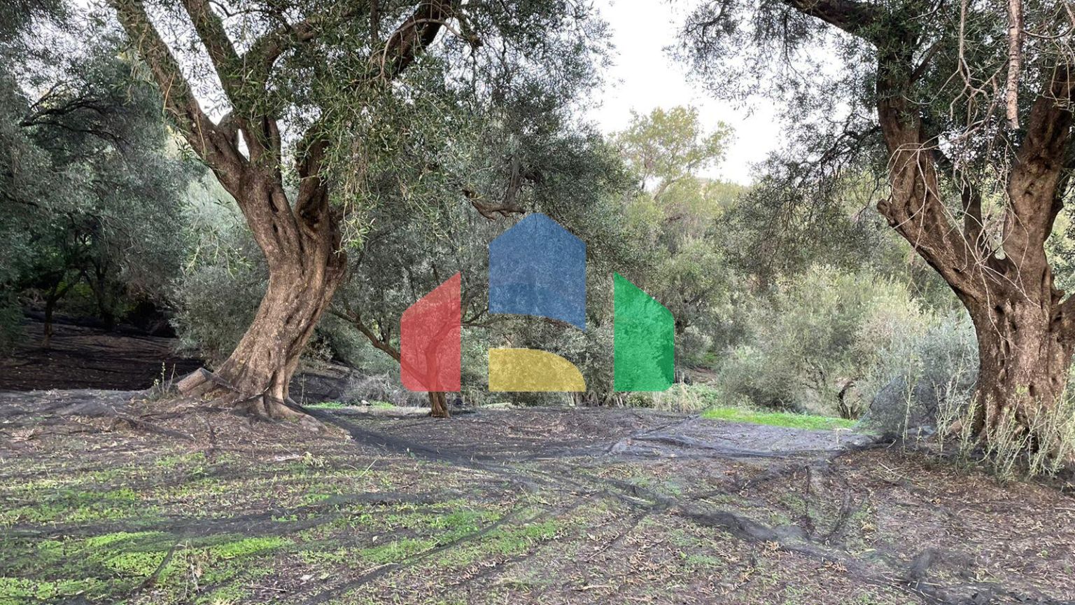 Продажа - Земельный участок 4027 m² на о. Корфу