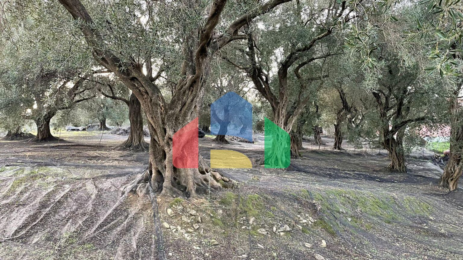 Продажа - Земельный участок 4027 m² на о. Корфу