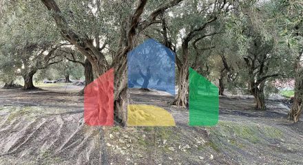 Продажа - Земельный участок 4027 m² на о. Корфу Продажа - Земельный участок 4027 m² на о. Корфу