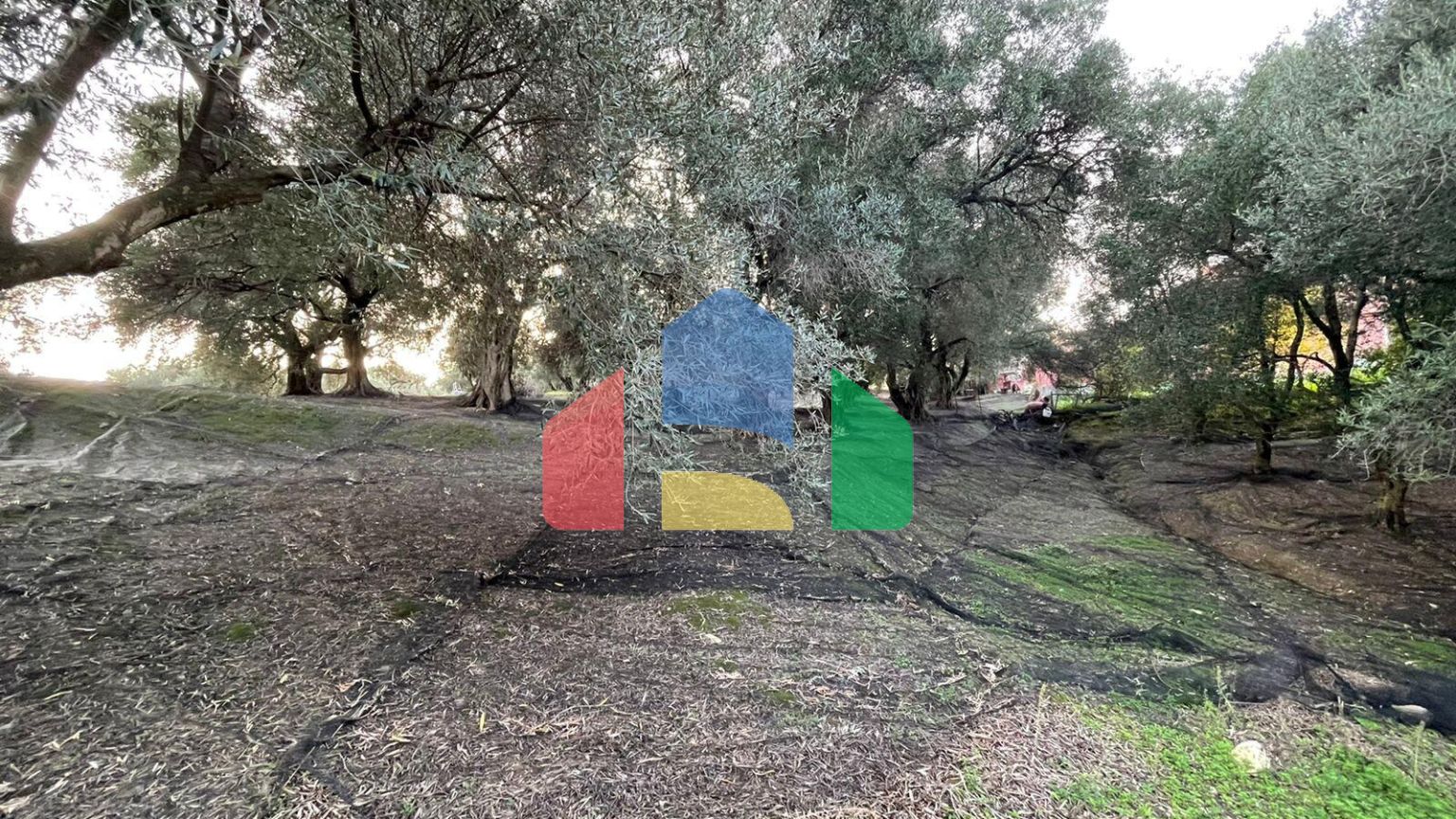 Продажа - Земельный участок 4027 m² на о. Корфу