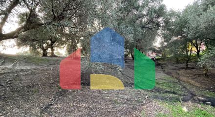 Продажа - Земельный участок 4027 m² на о. Корфу Продажа - Земельный участок 4027 m² на о. Корфу