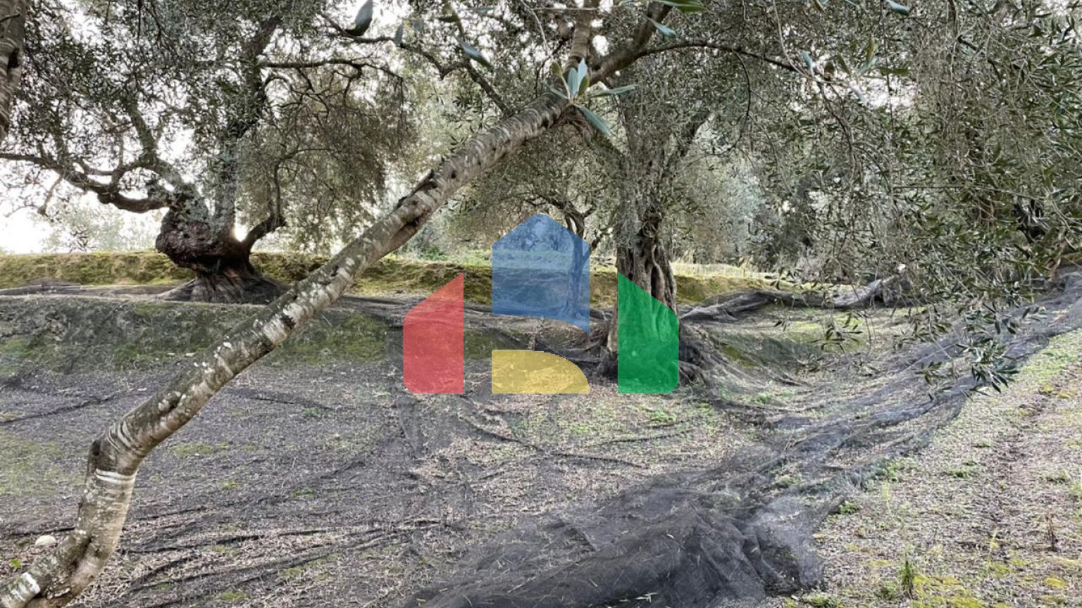 Продажа - Земельный участок 4027 m² на о. Корфу