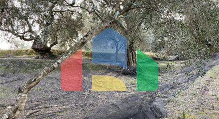 Продажа - Земельный участок 4027 m² на о. Корфу Продажа - Земельный участок 4027 m² на о. Корфу