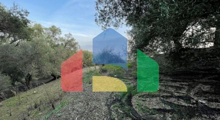 Продажа - Земельный участок 4027 m² на о. Корфу Продажа - Земельный участок 4027 m² на о. Корфу