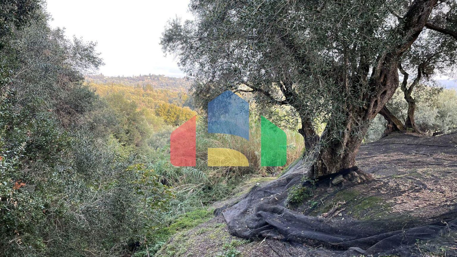 Продажа - Земельный участок 4027 m² на о. Корфу