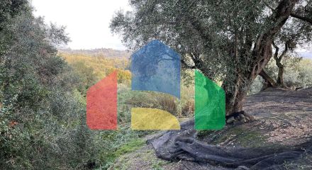 Продажа - Земельный участок 4027 m² на о. Корфу Продажа - Земельный участок 4027 m² на о. Корфу