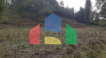 Продаж - Земельна ділянка 5000 m² на о. Корфу
