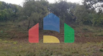 Продажа - Земельный участок 5000 m² на о. Корфу Продажа - Земельный участок 5000 m² на о. Корфу