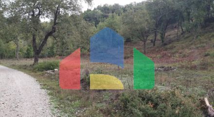 Продажа - Земельный участок 5000 m² на о. Корфу Продажа - Земельный участок 5000 m² на о. Корфу